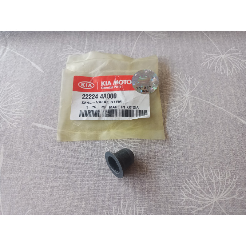 Kia Venteilschaftdichtung 22224 4A000