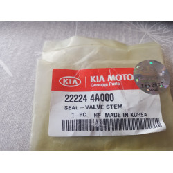 Kia Venteilschaftdichtung 22224 4A000