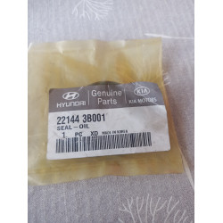 Kia Nockenwellendichtung 22144 3B001