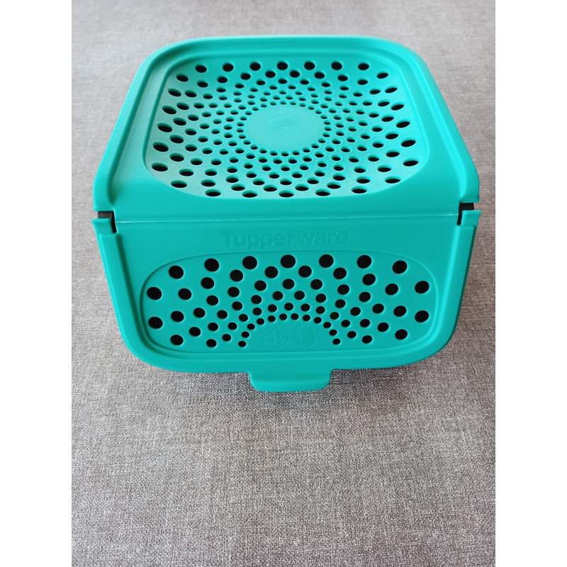Tupperware Zwiebellager