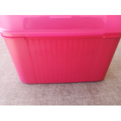 Tupperware Schatztruhe / Multi Keeper