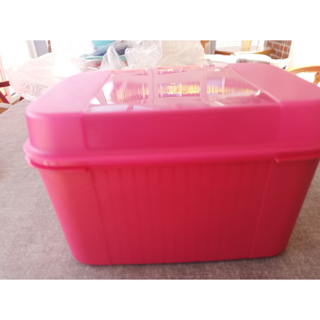 Tupperware Schatztruhe / Multi Keeper