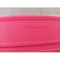 Tupperware Schatztruhe / Multi Keeper