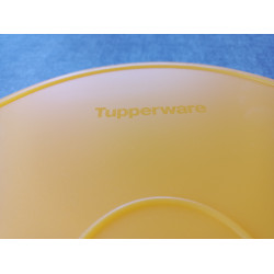 Tupperware 3,8 Liter  Gefrierbehälter / Kuchenbehälter