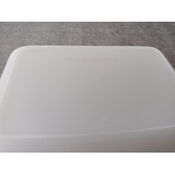 Tupperwarfe Freezer Mates Gefrierbehälter