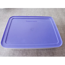 Tupperwarfe Freezer Mates Gefrierbehälter