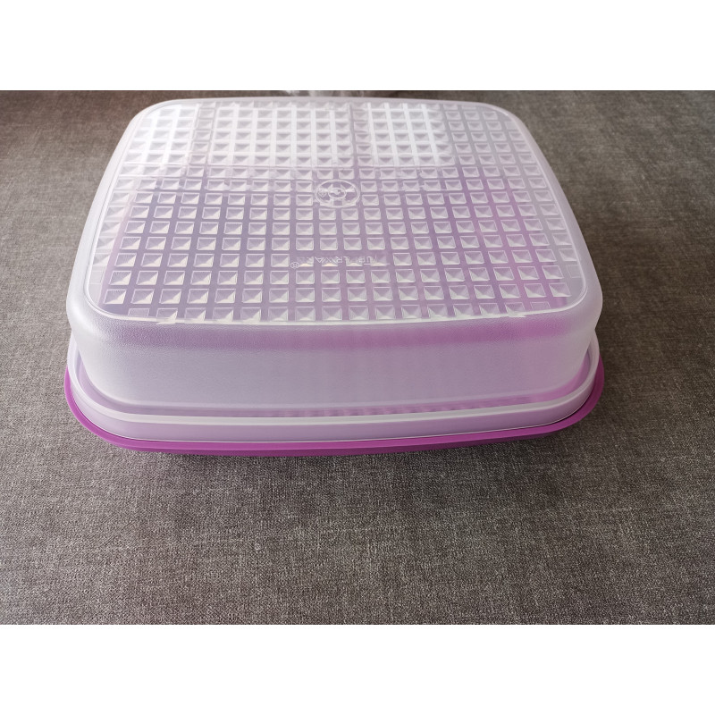 Tupperware Grillmeister / Marinierschale