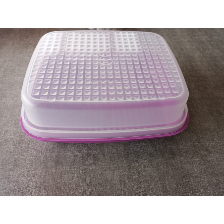 Tupperware Grillmeister / Marinierschale
