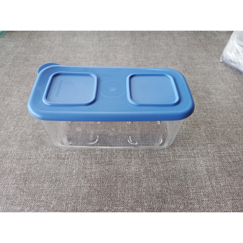 Tupperware Clear Mates 460ml