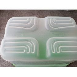 Tupperware ClimaOase 4,40 Liter