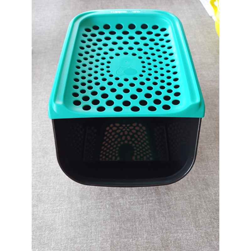 Tupperware Zwiebellager groß