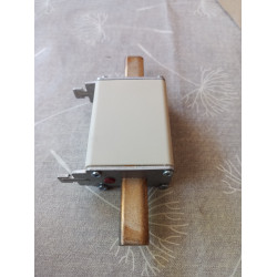 Mersen Sicherung NH1GG50V100 ( 100A )