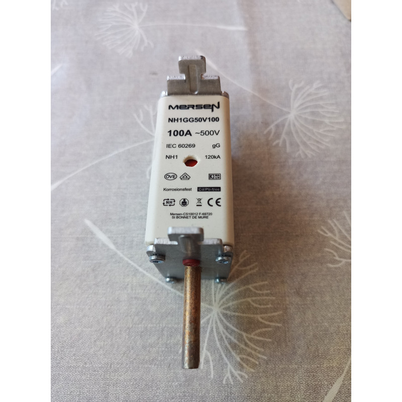 Mersen Sicherung NH1GG50V100 ( 100A )