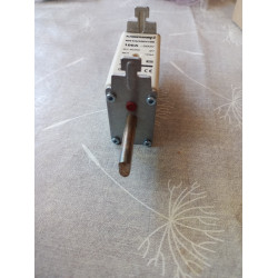 Mersen Sicherung NH1GG50V100 ( 100A )
