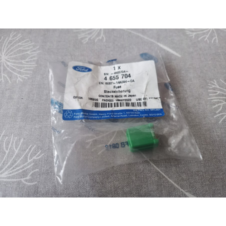 Ford Stecksicherung 4655704