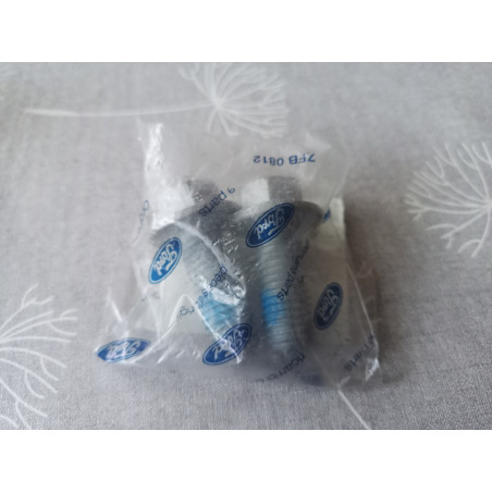 Ford Schrauben 1681381