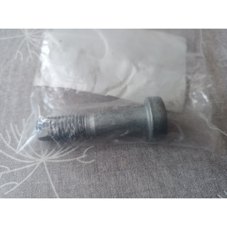 Ford Schraube 1496991