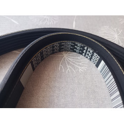 Ford Keilrippenriemen 1465191