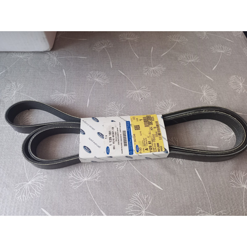 Ford Keilriemen 1129181
