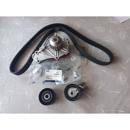 Ford Zahnriemen und Wasserpumpe Set 1855731