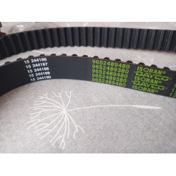 Ford Zahnriemen und Wasserpumpe Set 1855731