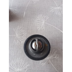 Ford Thermostat 1812482