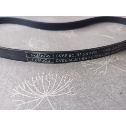 Ford Keilriemen 5160290