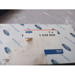Ford Keilriemen 1539606