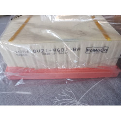 Ford Luftfilter 2184580