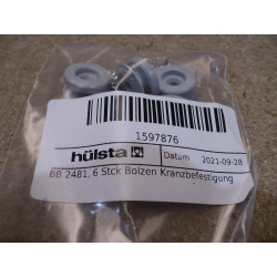 Hülsta BB 2481 Bolzen / Kranzbefestigung 6 Stück