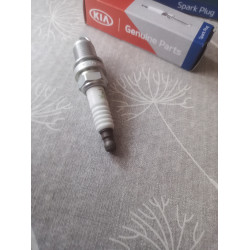 Kia Zündkerze 18829 11050