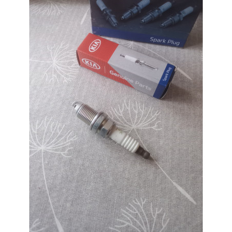 Kia Zündkerze 18829 11050