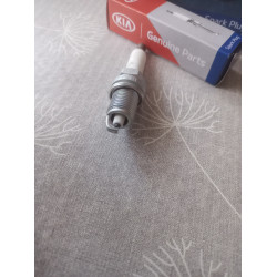 Kia Zündkerze 18829 11050