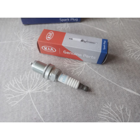 Kia Zündkerze 18841 11051