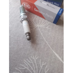 Kia Zündkerze 18846 11070