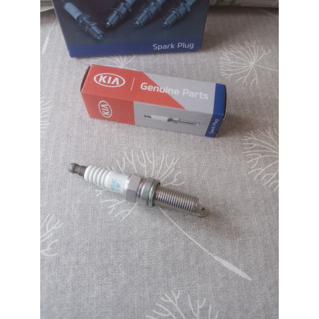 Kia Zündkerze 18846 08060