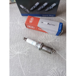 Kia Zündkerze 18852 09070