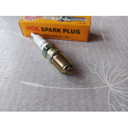 NGK Zündkerze 3812
