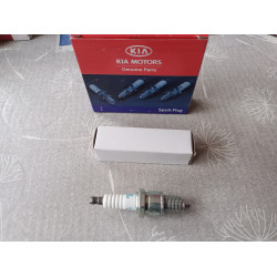 Kia Zündkerze 18818 11051